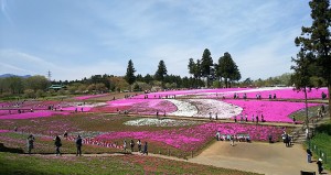 2017-04-20羊山公園～勝沼ツーリング (2)